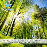 Produktbild: The wonders of the forest