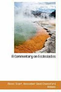 Produktbild: A Commentary on Ecclesiastes