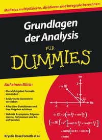 Produktbild: Grundlagen der Analysis f&uuml;r Dummies