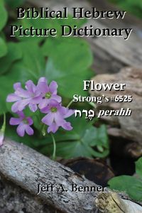 Produktbild: Biblical Hebrew Picture Dictionary