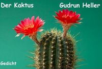 Produktbild: Der Kaktus