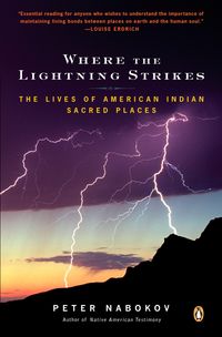 Produktbild: Where the Lightning Strikes