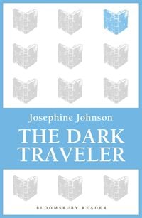 Produktbild: The Dark Traveler