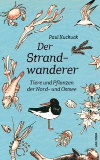Produktbild: Der Strandwanderer. Tiere und Pflanzen der Nord- und Ostsee