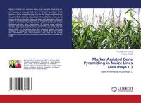 Bild vom Artikel Marker Assisted Gene Pyramiding in Maize Lines (Zea mays L.) vom Autor Pratibha Sharma