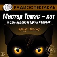 Produktbild: The Pussycat and the Expert Plumber Who Was a Man