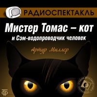 Produktbild: The Pussycat and the Expert Plumber Who Was a Man