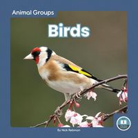 Produktbild: Birds