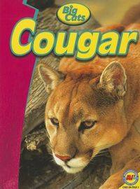 Produktbild: Cougar