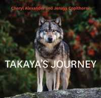 Produktbild: Takaya's Journey