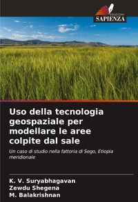 Produktbild: Uso della tecnologia geospaziale per modellare le aree colpite dal sale