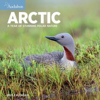 Produktbild: Audubon Arctic Wall Cal 2023