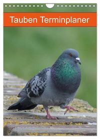 Produktbild: Tauben Terminplaner (Wandkalender 2026 DIN A4 hoch), CALVENDO Monatskalender