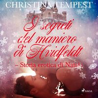 Produktbild: I segreti del maniero di Hvidfeldt - Storia erotica di Natale