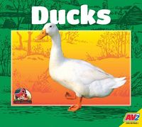 Produktbild: Ducks