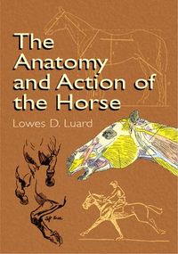 Produktbild: Anatomy & Action Of The Horse