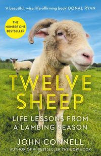 Produktbild: Twelve Sheep