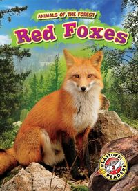 Produktbild: Red Foxes
