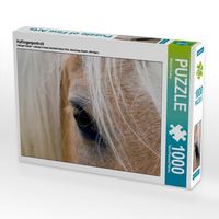 Produktbild: CALVENDO Puzzle Haflingerportrait | 1000 Teile Lege-Gr&ouml;&szlig;e 64x48cm Foto-Puzzle f&uuml;r gl&uuml;ckliche Stunden