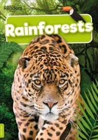 Produktbild: Rainforests