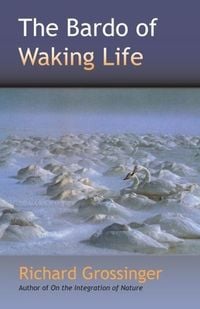 Produktbild: The Bardo of Waking Life