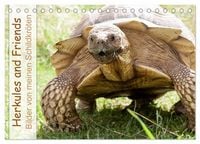 Produktbild: Herkules and Friends (Tischkalender 2026 DIN A5 quer), CALVENDO Monatskalender