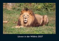 Produktbild: L&ouml;wen in der Wildnis 2027 Fotokalender DIN A4