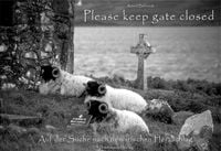 Produktbild: Please keep gate closed