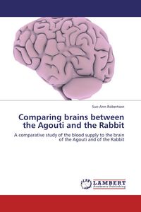 Produktbild: Comparing brains between the Agouti and the Rabbit