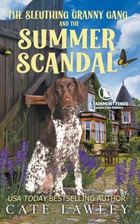 Produktbild: The Sleuthing Granny Gang and the Summer Scandal