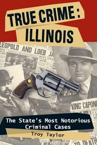Produktbild: True Crime: Illinois
