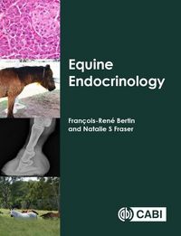 Produktbild: Equine Endocrinology
