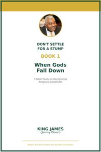 Produktbild: When God's Fall Down