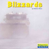 Produktbild: Blizzards