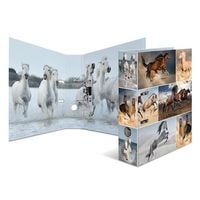 Produktbild: HERMA Motivordner Animals Motiv Pferde DIN A4 R&uuml;ckenbreite 7cm
