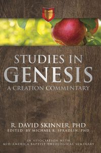Produktbild: Studies in Genesis 1-11