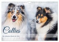 Produktbild: Collies - die sch&ouml;nsten Hunde der Welt (Wandkalender 2026 DIN A4 quer), CALVENDO Monatskalender