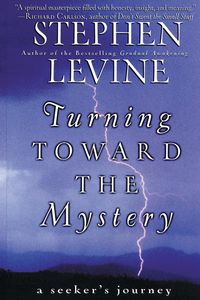 Bild vom Artikel Turning Toward the Mystery vom Autor Stephen Levine
