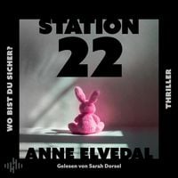 Produktbild: Station 22. Wo bist du sicher?
