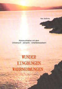 Produktbild: Wunder Eingebungen Wahrnehmungen