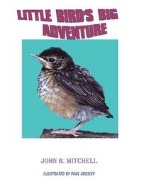 Produktbild: Little Bird's Big Adventure