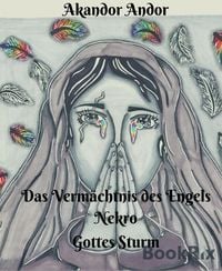 Produktbild: Das Verm&auml;chtnis des Engels Nekro - Gottes Sturm