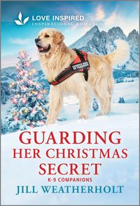 Produktbild: Guarding Her Christmas Secret