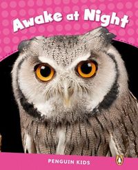 Produktbild: Level 2: Awake at Night CLIL