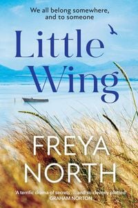 Produktbild: Little Wing