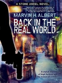 Produktbild: Back in the Real World (Stone Angel #2)