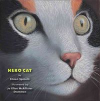 Produktbild: Hero Cat