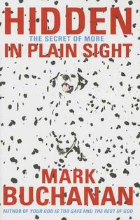 Produktbild: Hidden in Plain Sight: The Secret of More