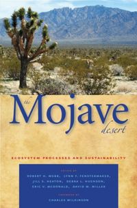 Produktbild: Mojave Desert