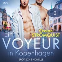 Produktbild: Ein Voyeur in Kopenhagen 2 - Erotische Novelle
